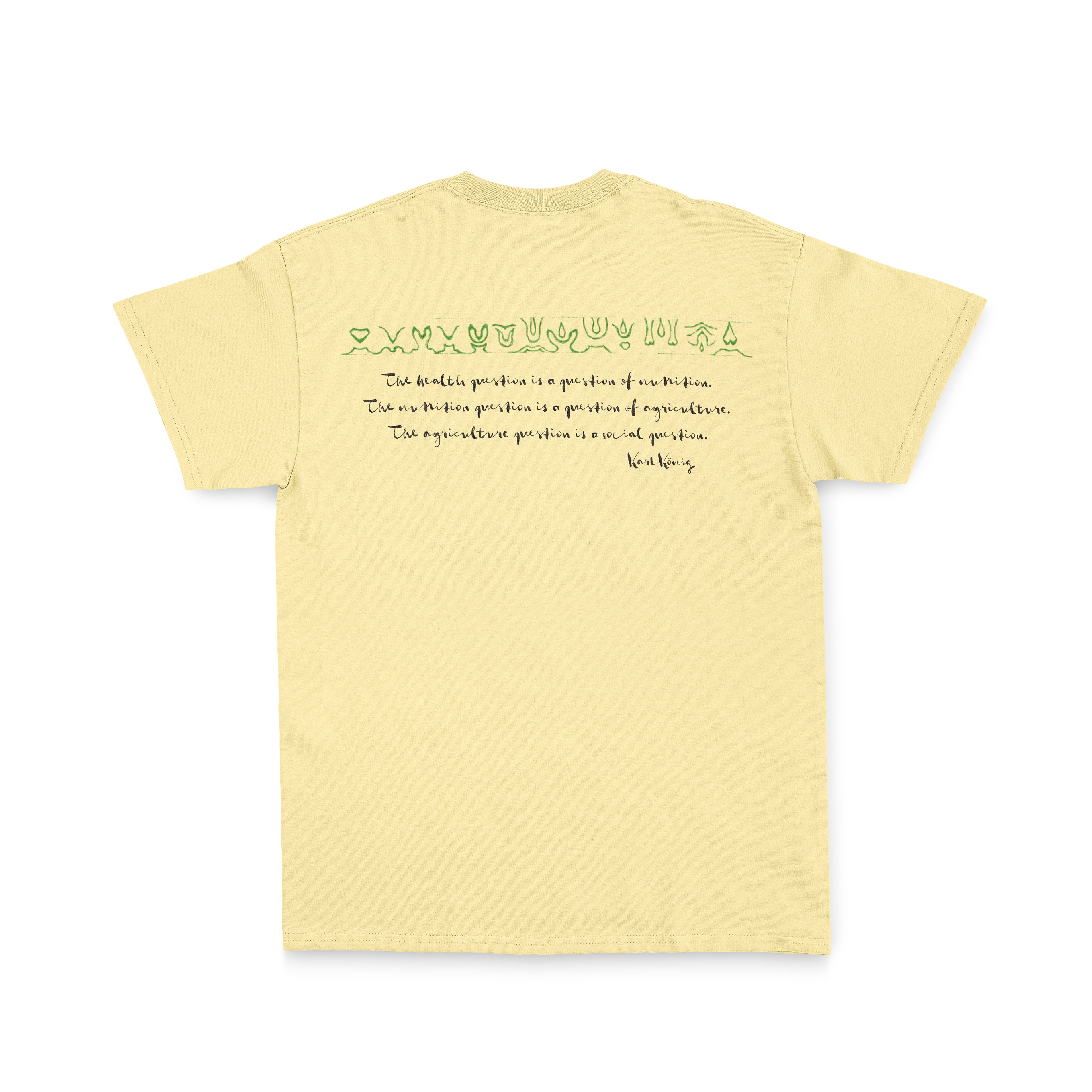 T-shirt - Healing Plant Garden - Vintage dye | Camphill Village Store