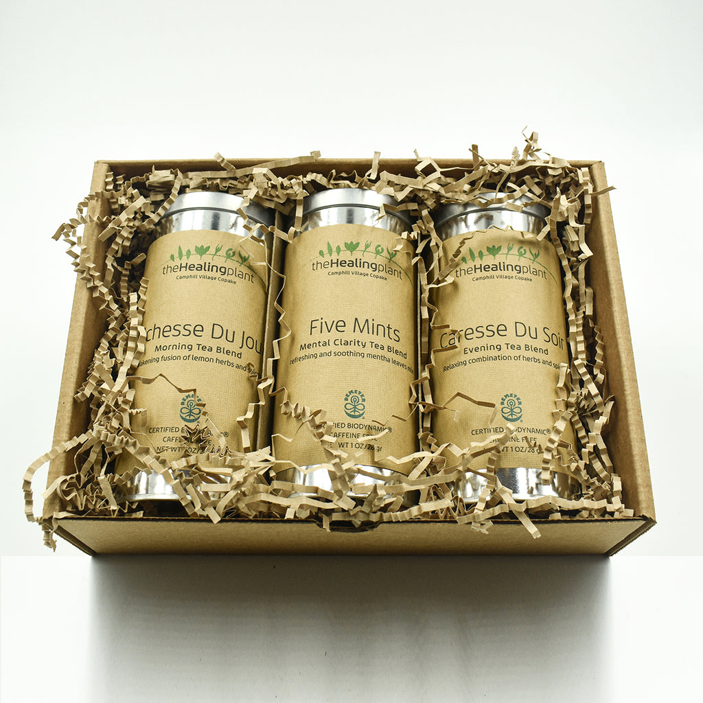 Three Herbal Infusions for the Day Certified Biodynamic Tea Gift box (open) top