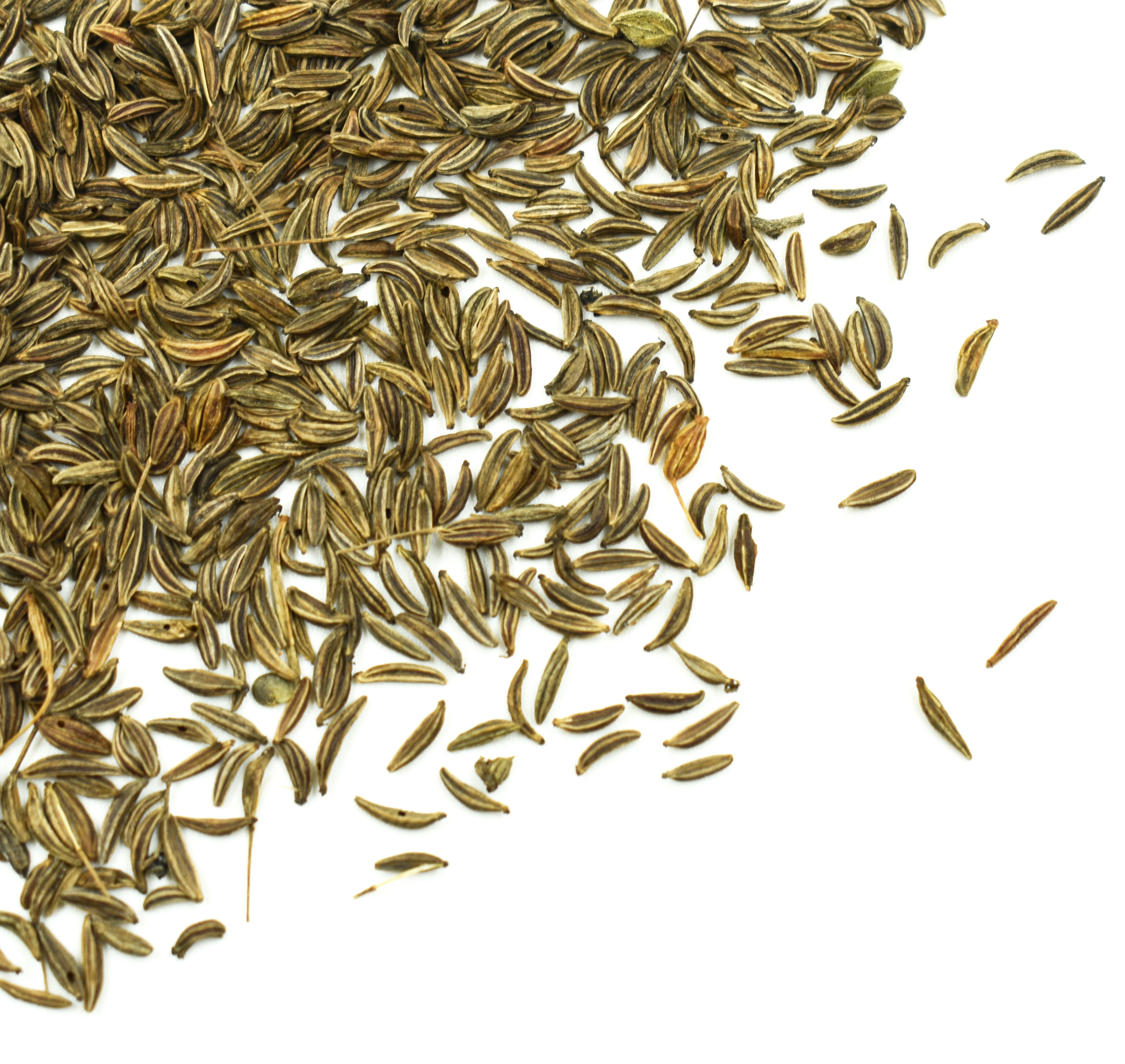 Caraway Seeds