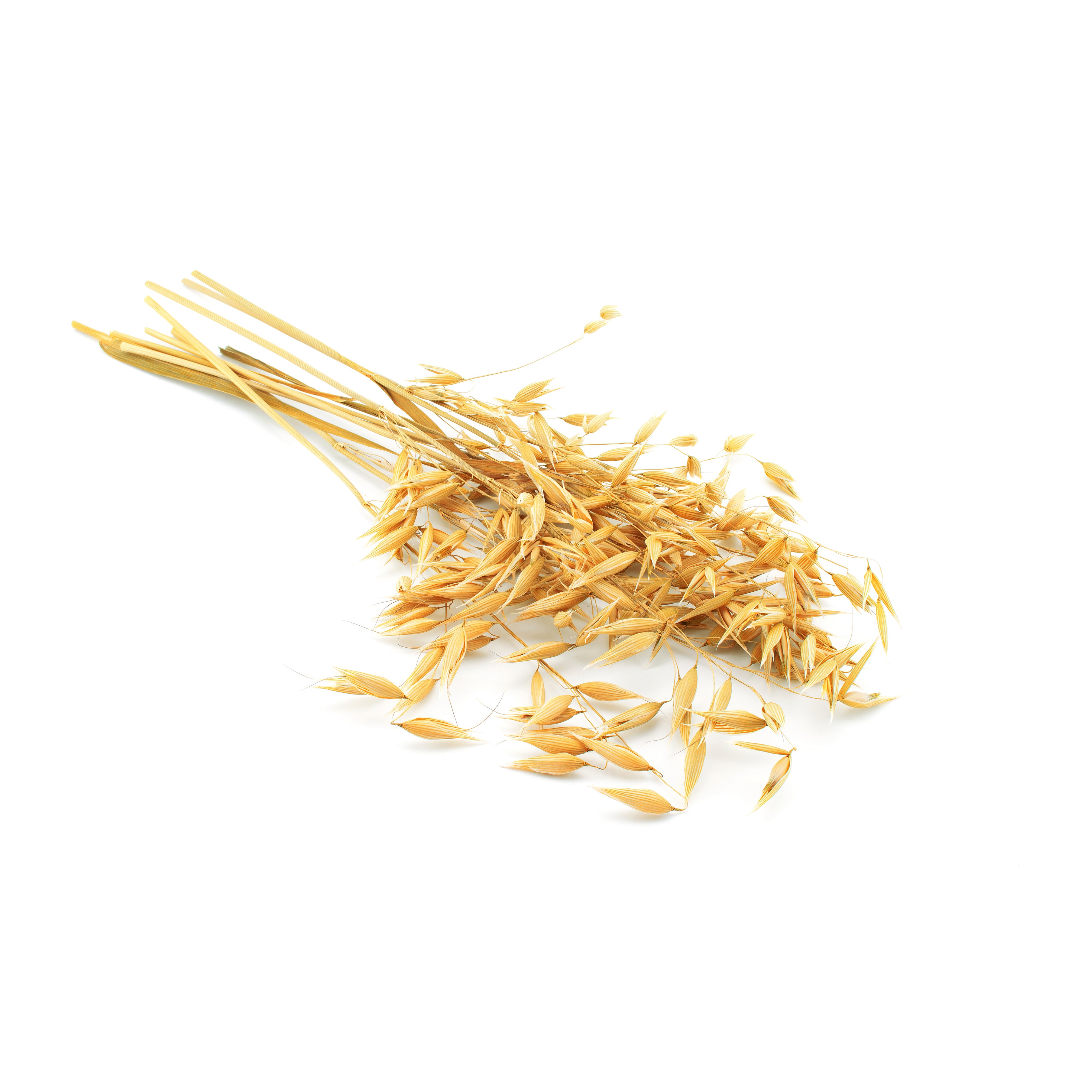 Oats Straw Example Oat Straw
