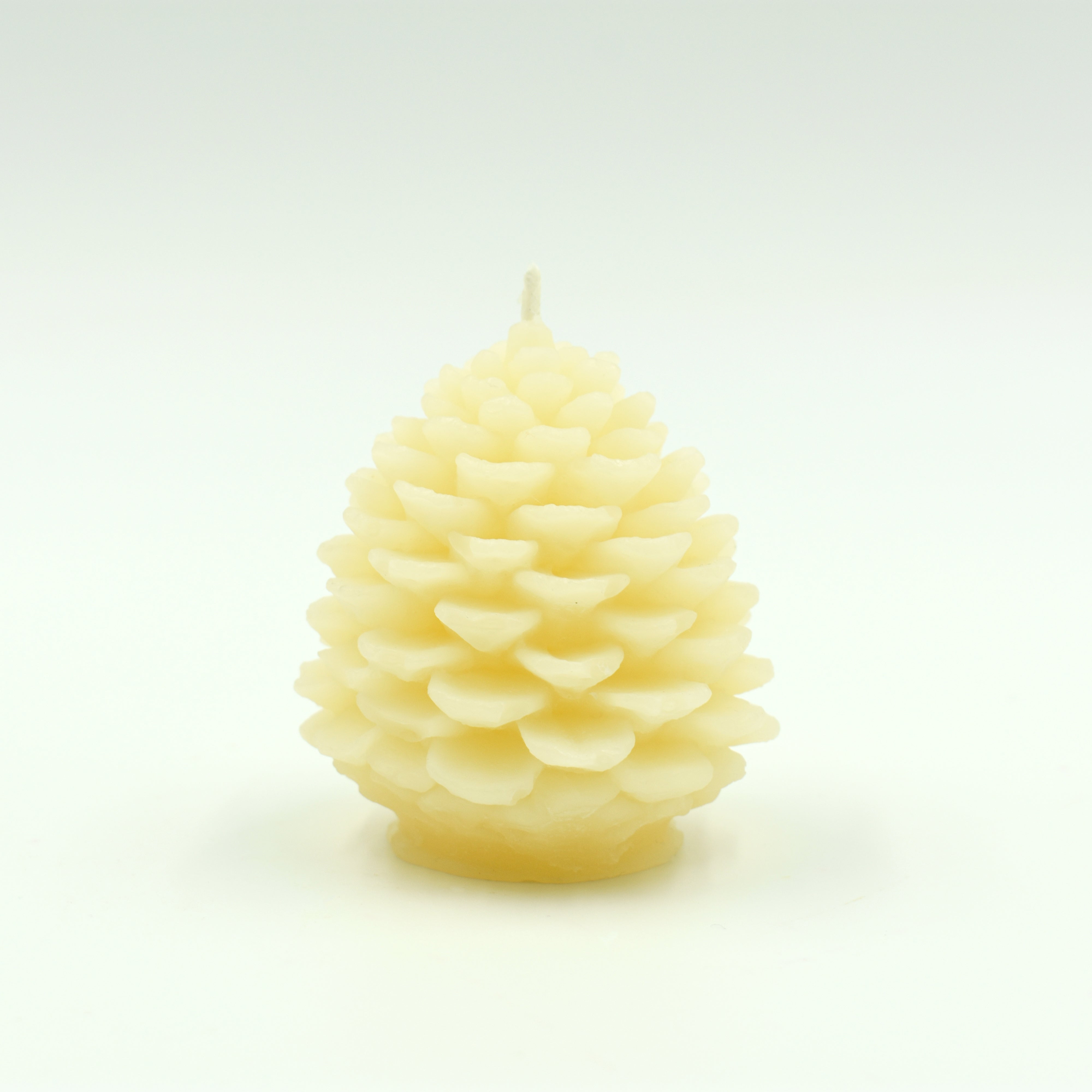 Pinecone 100% Beeswax Candles BULK / Natural Pine Cone / 🍂 Forest Pine  Trees 🐝