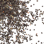 Certified Biodynamic Poppy Seeds bulk