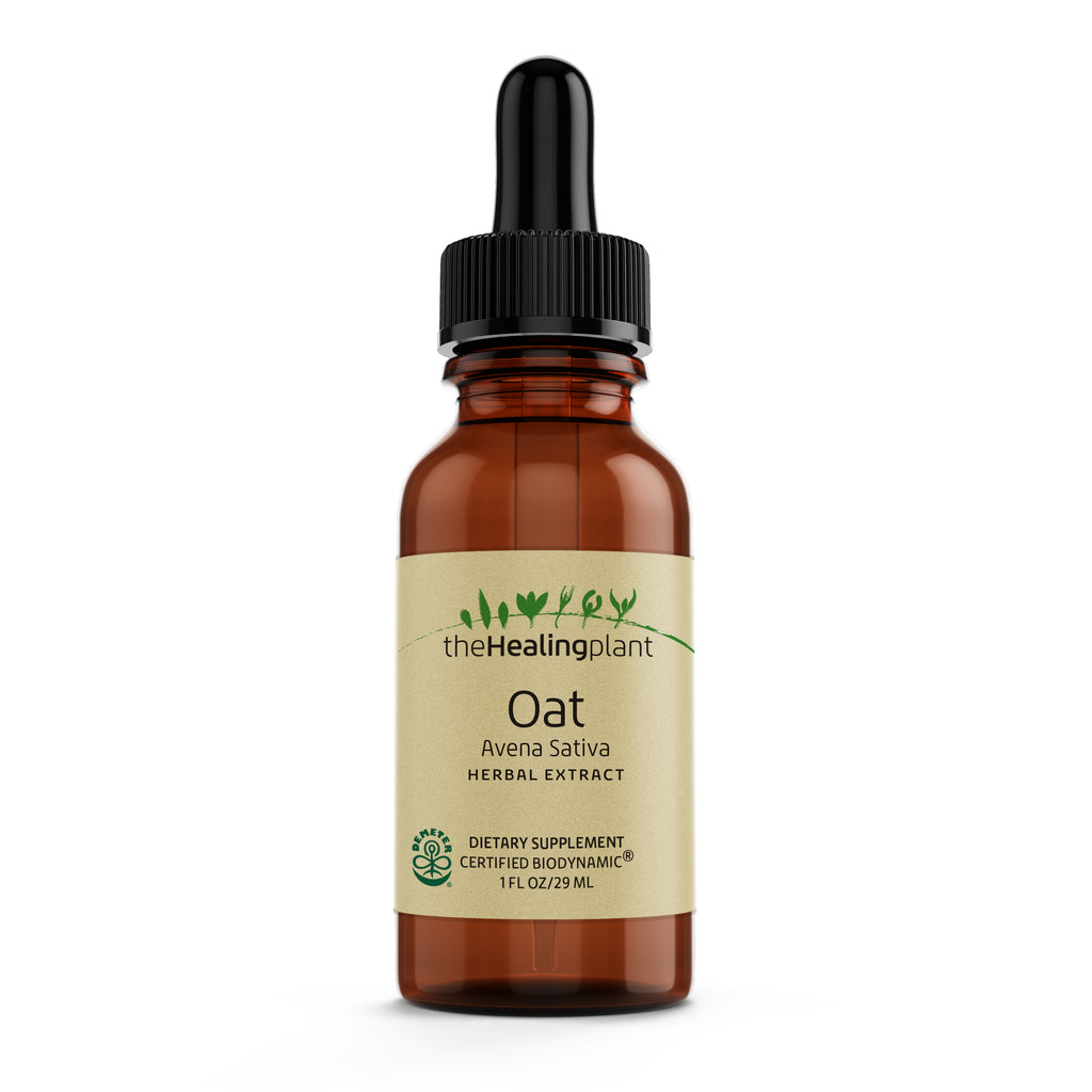 Oat - Herbal Extract - 1 Fl oz